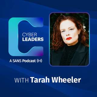 Translating Cyber Risk for a Chaotic World with Tarah Wheeler