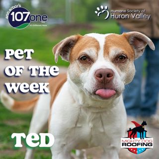 a2VV: HSHV Pet of the Week 6/12/25