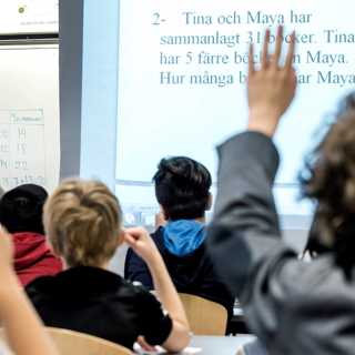 Den segregerade skolan