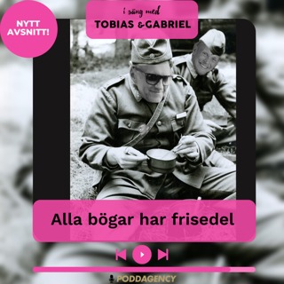 311.alla bögar har frisedel!