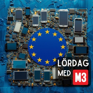 Dags att rösta i EU-valet
