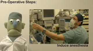 Steps of an Operation - Dr. Scalpel's Guide to Surgery
