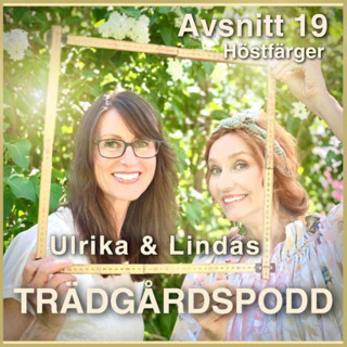 Avsnitt 19 - Höstfärger