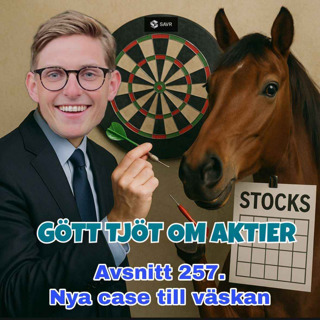 257. Nya case till väskan