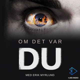 19. Tragedin på Roskildefestivalen
