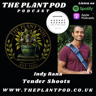 Indy Rana (Tender Shoots)