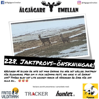 228. Jaktprovs-önskningar!
