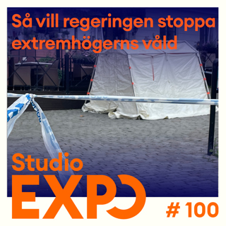 100. Så vill regeringen stoppa extremhögerns våld