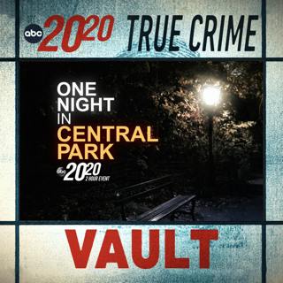 True Crime Vault: One Night in Central Park