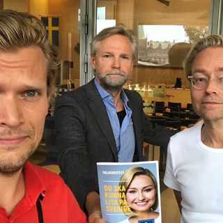 191: "Trygga till det med trygghetspartiet Tryggsson"