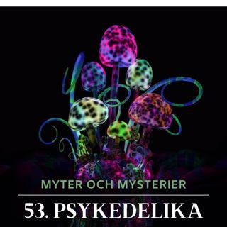 53. Psykedelika