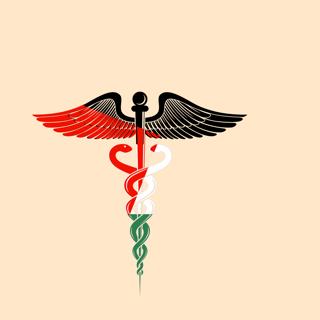Palestine Ep. 3: Settler-Colonialism and Medical Apartheid with Rupa Marya & Jess Ghannam