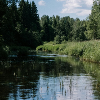 Fluvial Geomorphology with Chrystiann Lavarini