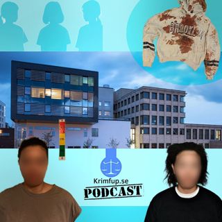 Richard - Målsägande - Kvinna åtalas för knivattack mot 10-åring i Ängelholm