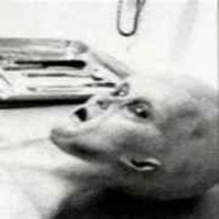 Area 51-Bobby Lazar