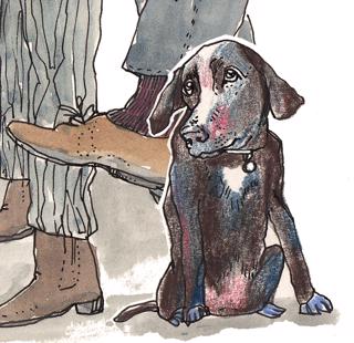 Allmän stress hos hund - Över- och understimulering [Lyssnarfrågor]