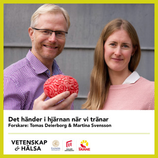 Det händer i hjärnan när vi tränar