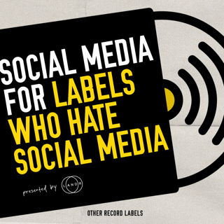 Social Media Observations for Record Labels
