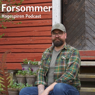 21/26: Forsommer med Tommy Tønsberg
