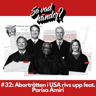 #32: Aborträtten i USA rivs upp feat. Parisa Amiri