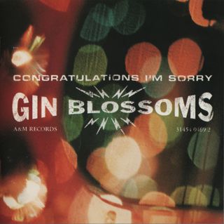 Episode 62: Gin Blossoms - Congratulations I'm Sorry