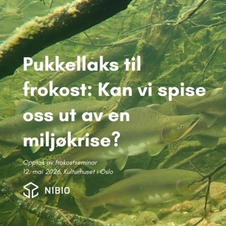 Pukkellaks til frokost - kan vi spise oss ut av en miljøkrise?