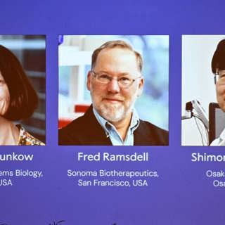 De får Nobelpriset i fysiologi eller medicin 2025