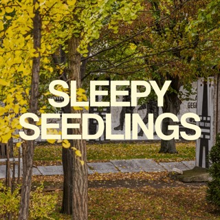 The Trees That Remember: A Memorial in Berlin
