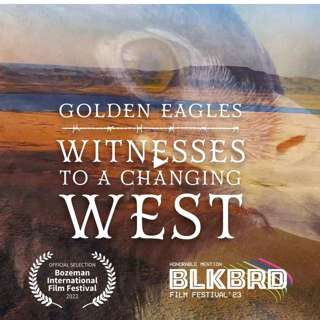 Golden Eagles in the Changing American West with filmmaker David Rohm