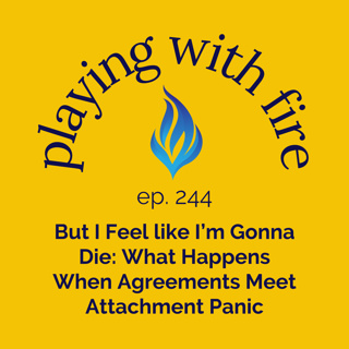 244 But I Feel like I’m Gonna Die: What Happens When Agreements Meet Attachment Panic