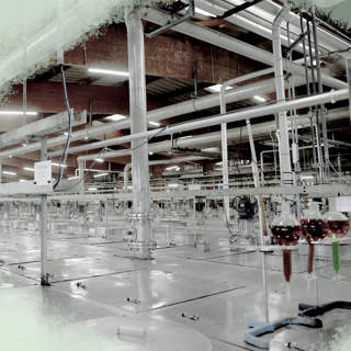 When Biotech Purifies Rare Earths—Outdeveloping China in Its Key Industry