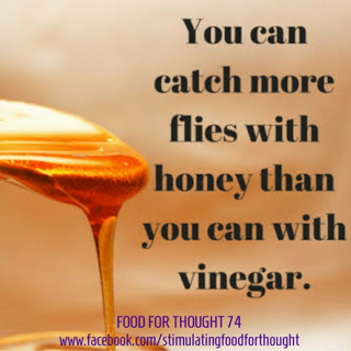 You can catch more flies with honey than you can with vinegar.