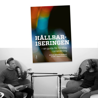 #246 Hållbariseringen med Mikael Botnen Diamant