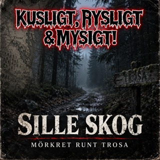 SILLE SKOG, mörkret runt Trosa.