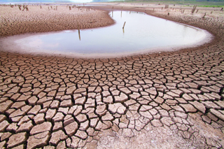 Audio Article: Heat Waves and Drought