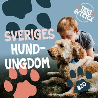 Sveriges hundungdom