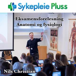 Respirasjon (forelesning ved Universitetet i Agder)