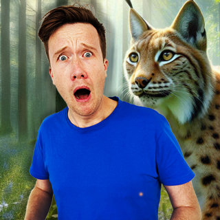 ZOO-LIFE TO WILDLIFE: A Lynx's Epic Adventure đŸđïž