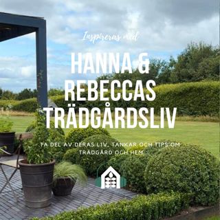 Avsnitt 140 – Ramar och struktur