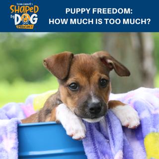 Puppy Freedom: How Much Is Too Much? #166