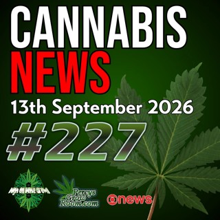 £1.3 Million Cannabis Factory Found in Abandoned BHS, Rental Property Grow Houses, US Hemp Ban, Medical Cannabis Research & More | Cannabis News 227