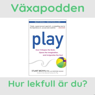 Hur lekfull är du?