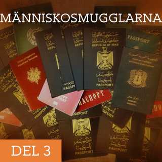 Människosmugglarna – Slutstation Sverige | Del 3/3