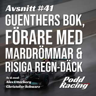 41. Guenthers Bok, Förare med Mardrömmar & Risiga Regn-Däck