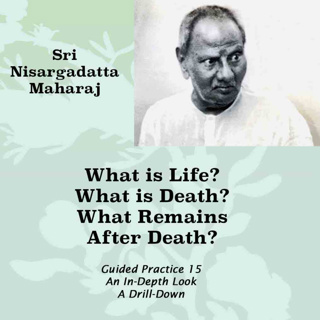 Nisargadatta Maharaj Knowledge & Practice (15) What is Life And Death? What Remains After Death?