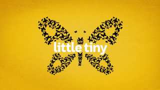 INTRODUCING — Little Tiny