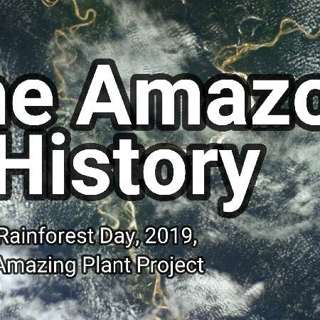 The Amazon: A History