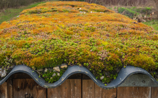 Ep. 186 Learn to Build with Natural Materials