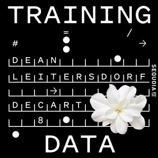Decart’s Dean Leitersdorf on AI-Generated Video Games and Worlds
