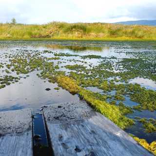 Tinande permafrost tickande klimatbomb i Arktis